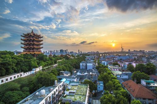 湖北,携手共筑美好家园——致敬领导与同胞们